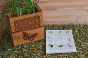 PLANTAS AROM&Aacute;TICAS
